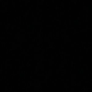 Meet your Posher, Sadie